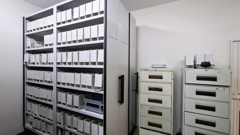 To Let Commercial Property for Rent in George Western Cape